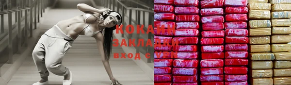 гашик Каменка
