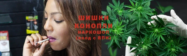 гашик Каменка