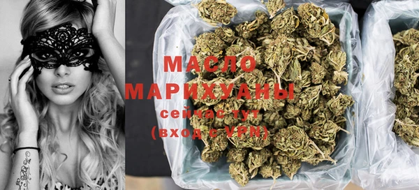 гашик Каменка