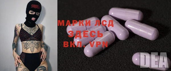 гашик Каменка