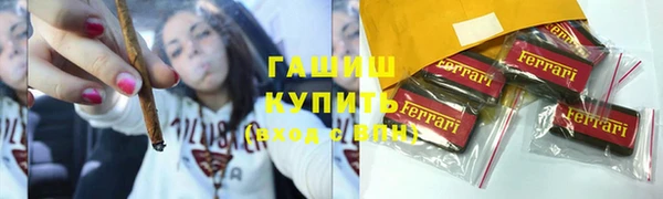 гашик Каменка