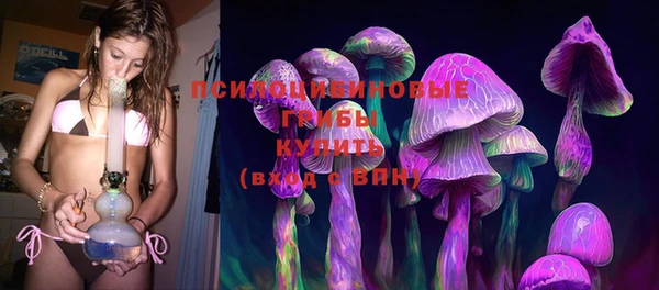 гашик Каменка