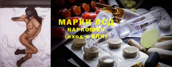 гашик Каменка
