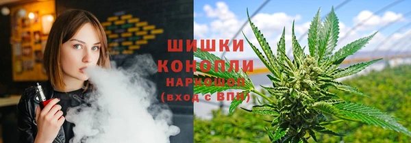 гашик Каменка