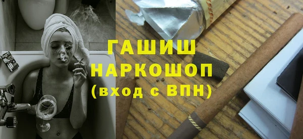гашик Каменка