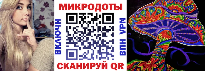Псилоцибиновые грибы Psilocybe  Купить где  Кинель 